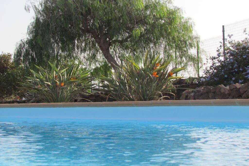 Heated & Shared Pool Villa Matriana 36B, North Shore Villas La Oliva Eksteriør billede